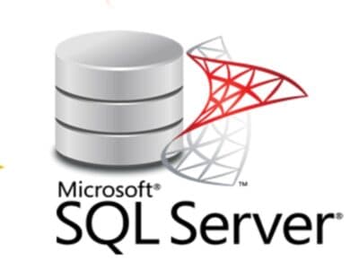 Microsoft Office Suite and programming training